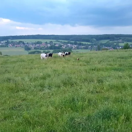 Rock And Chill House With Jacuzzi Ardennes Namur